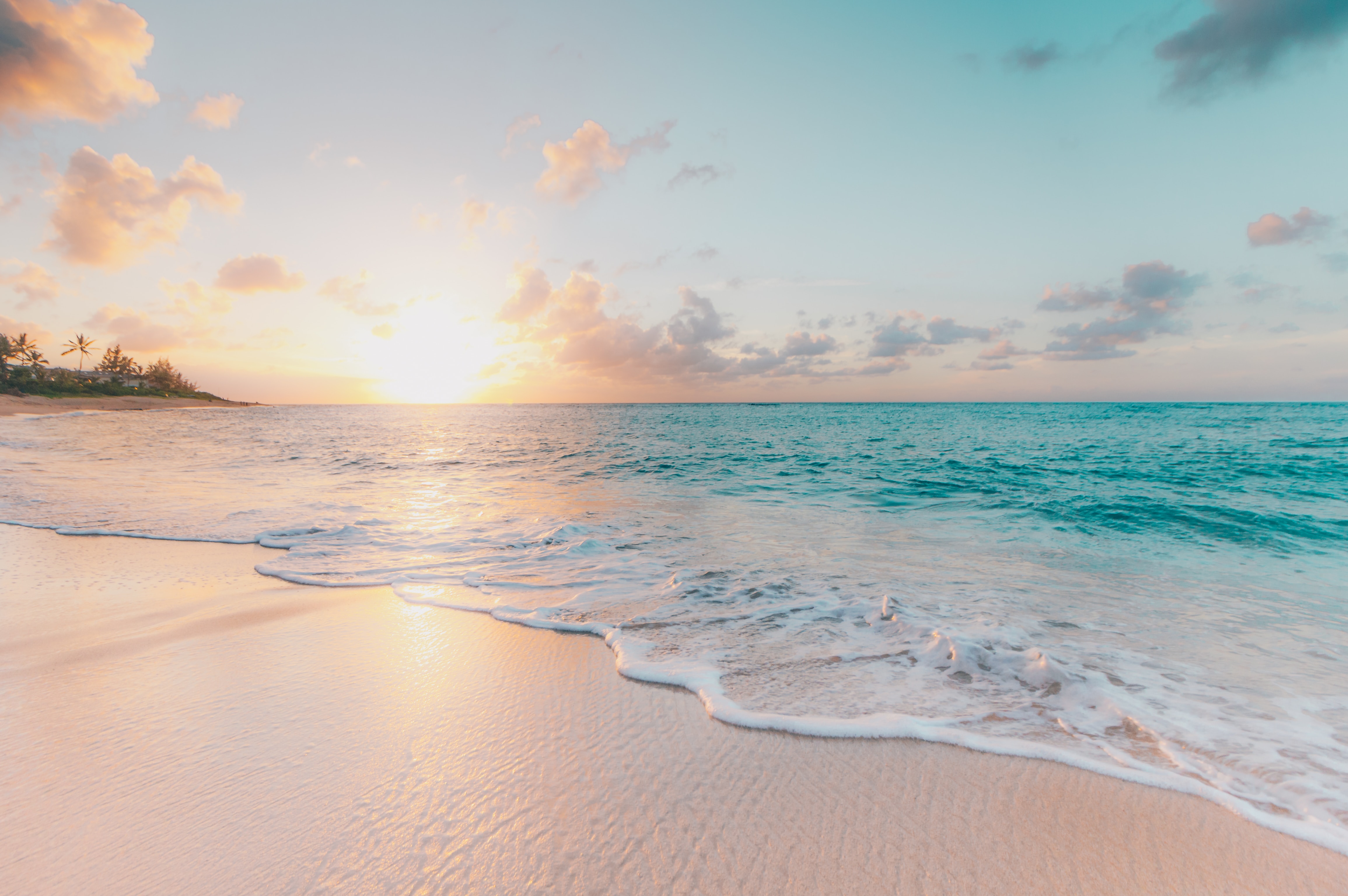beach during sunset